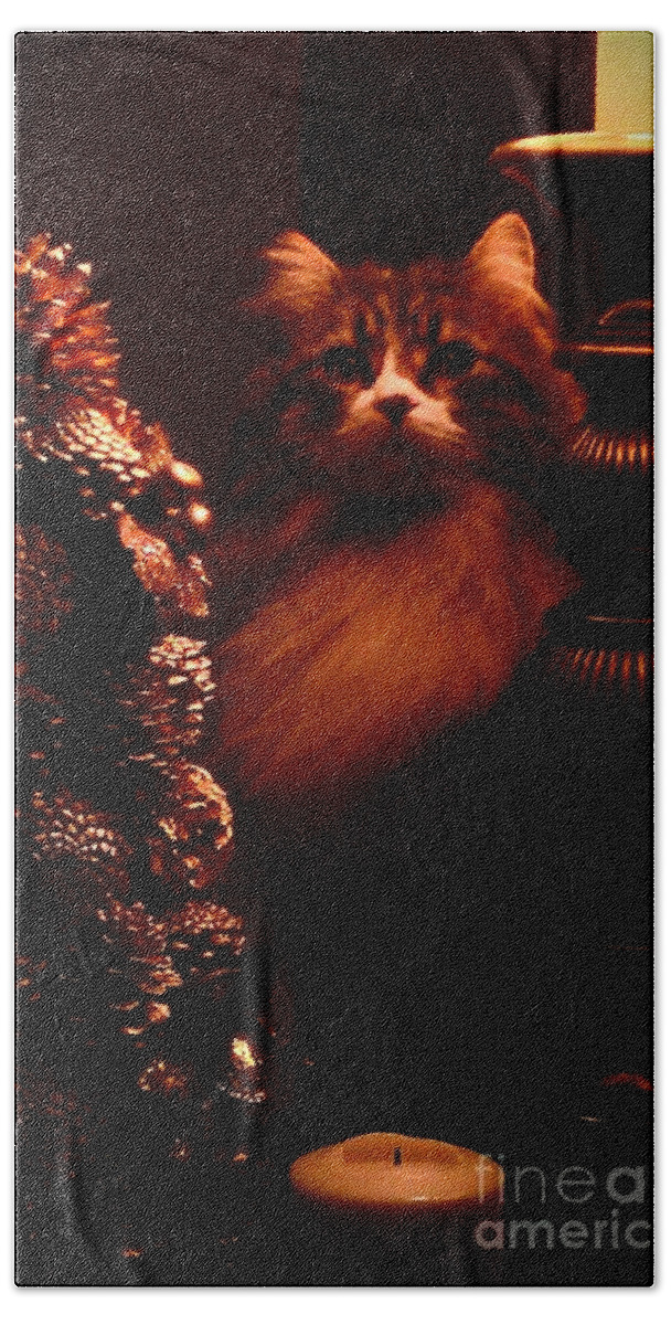 Cat Hand Towel featuring the photograph Not A Creature Was Stirring... by Jacqueline McReynolds