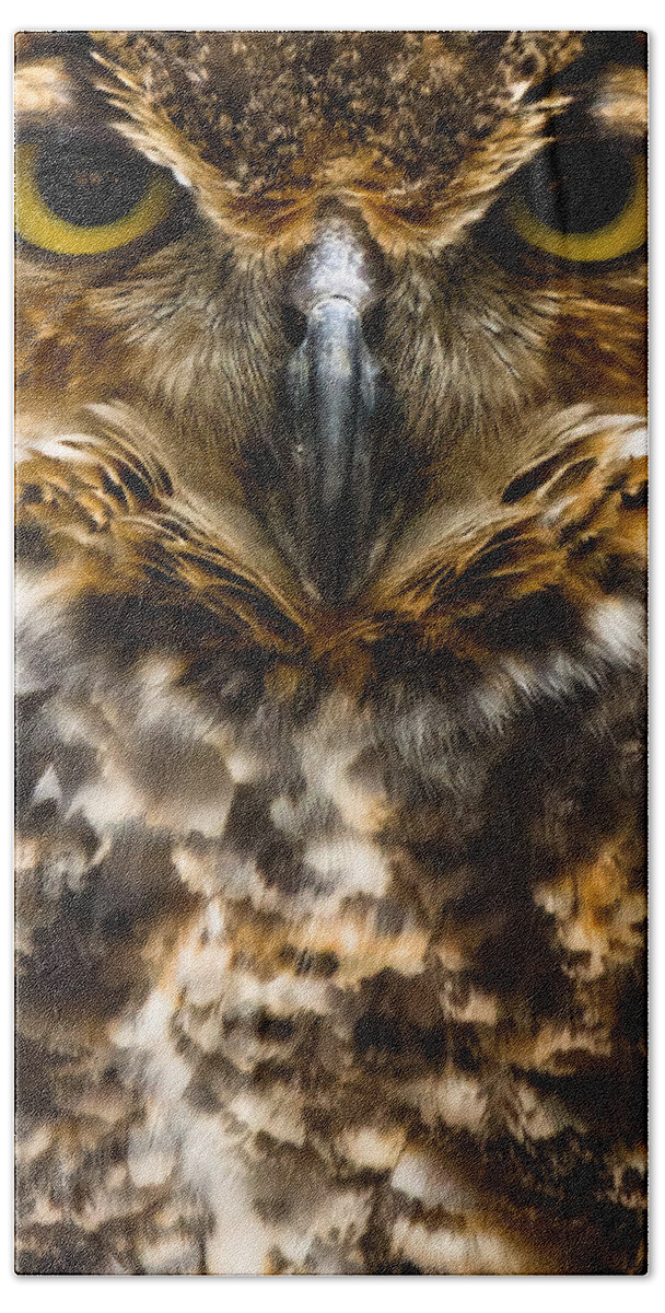 Owl Bath Towel featuring the photograph Not Mad At All by Robert L Jackson