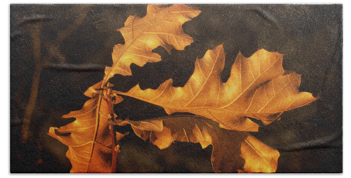Oak Bath Towel featuring the photograph Oak Leaves by Frank Winters