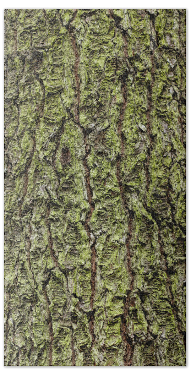 Lichen Bath Towel featuring the photograph Oak with lichen by Allan Morrison