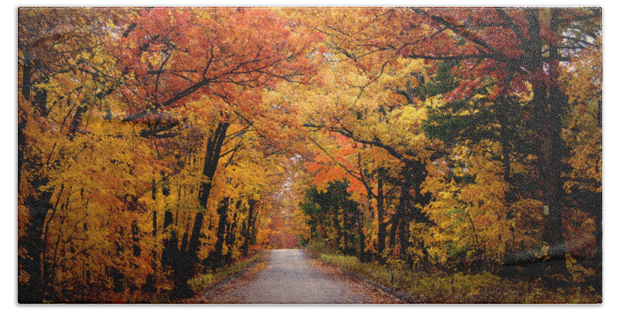 Fall Foliage Bath Towel featuring the photograph October Road by Cricket Hackmann