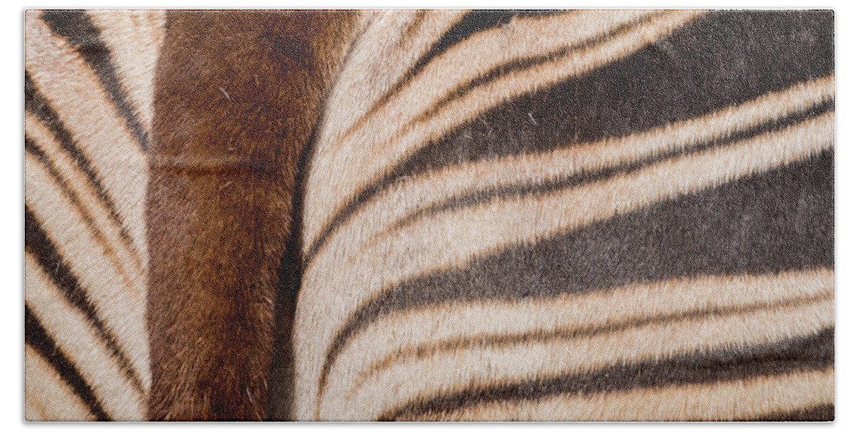 Stripes Bath Towel featuring the photograph Okapi Stripes by Ernest Echols