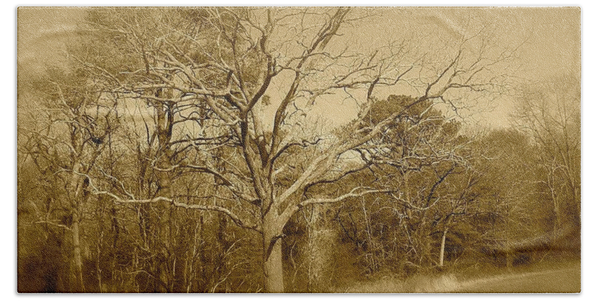 Old Bath Towel featuring the photograph Old Haunted Tree In Sepia by Chris W Photography AKA Christian Wilson
