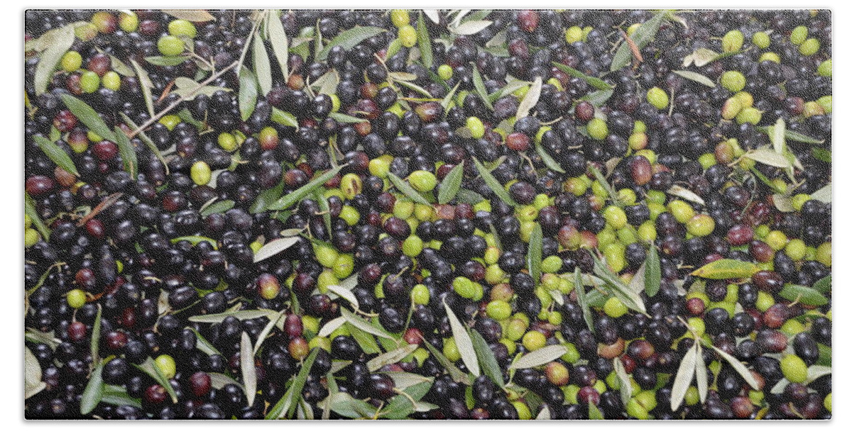 Olive Bath Towel featuring the photograph Olives harvest by Dany Lison