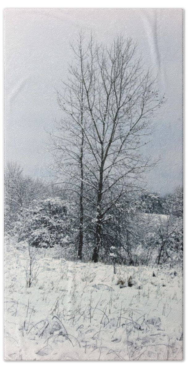 Winter Bath Towel featuring the photograph On A Winters Day by Kay Novy