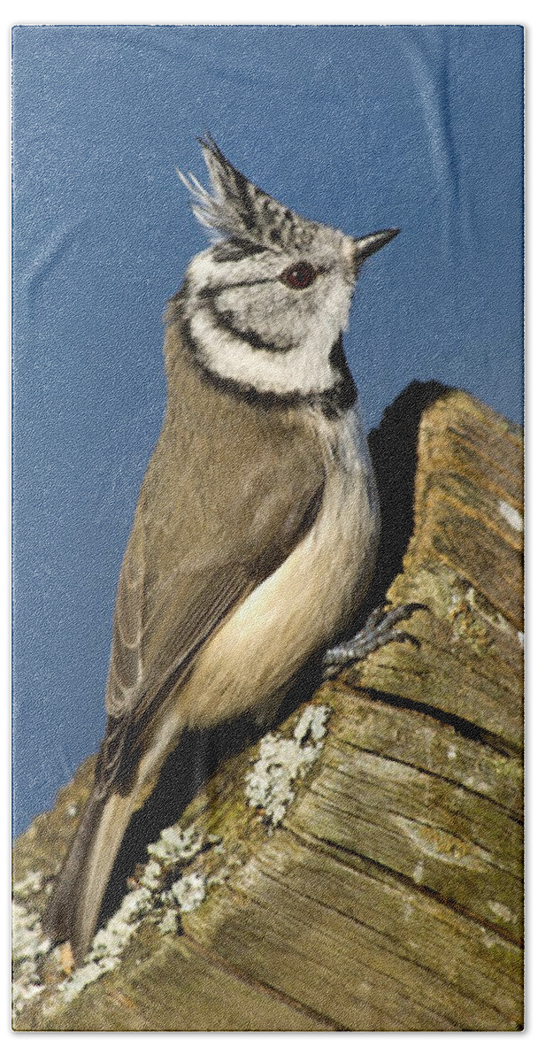 On The Edge Bath Towel featuring the photograph On the edge by Torbjorn Swenelius