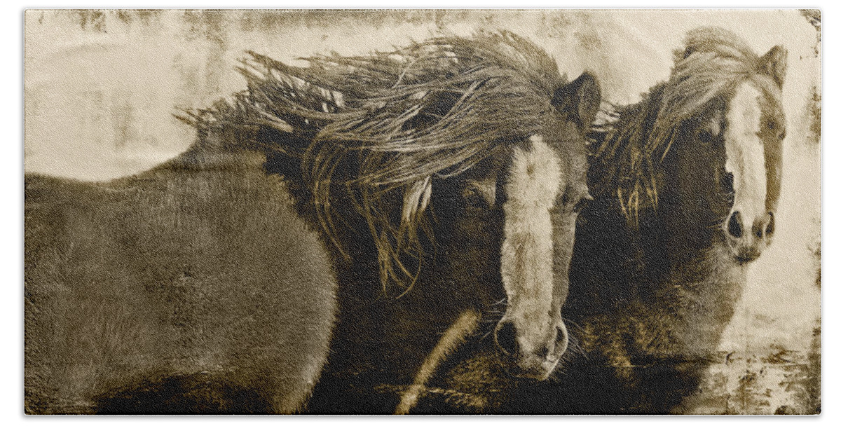 Pony Bath Towel featuring the photograph Winds of Time by Amanda Smith