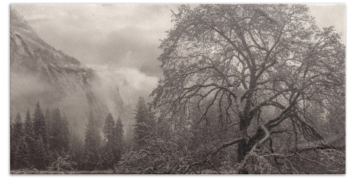 Landscape Bath Towel featuring the photograph One Beauty Sepia by Jonathan Nguyen