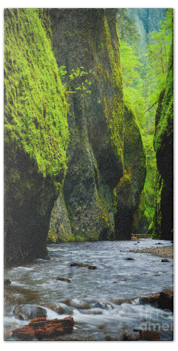 America Bath Towel featuring the photograph Oneonta River Gorge by Inge Johnsson