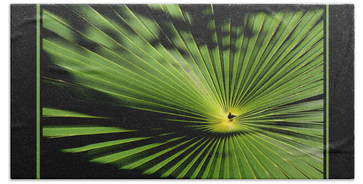 Palmetto Fan Canvas Print Bath Towel featuring the photograph Optical Illusion by Lucy VanSwearingen