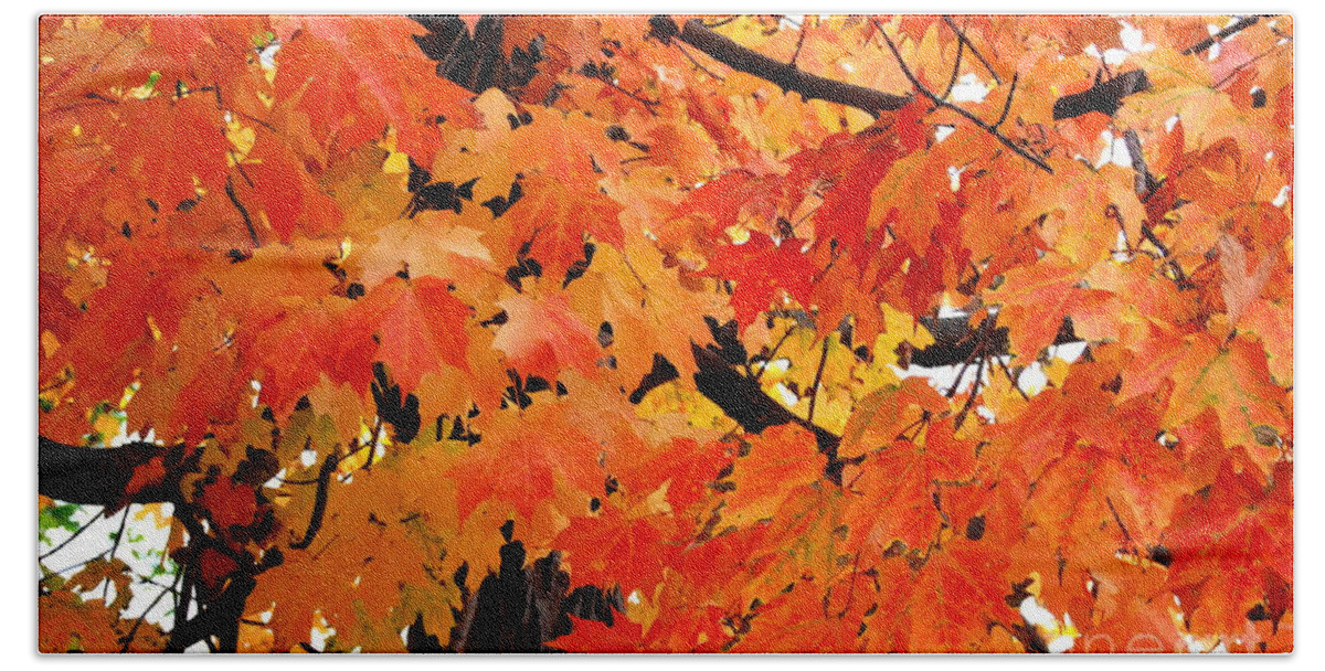 Maple Tree Hand Towel featuring the photograph Orange And Reds And Some Yellow Too by Eunice Miller