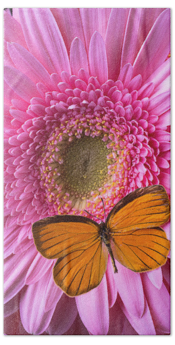 Orange Bath Towel featuring the photograph Orange Butterfly On Pink Daisy by Garry Gay