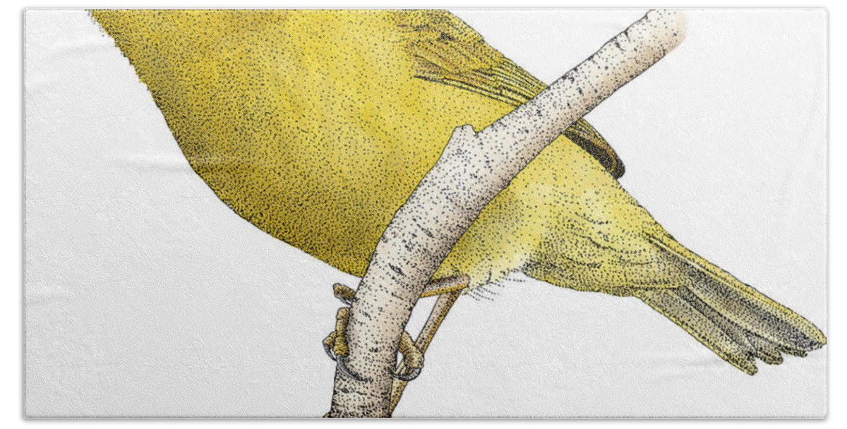 Art Bath Towel featuring the photograph Orange-crowned Warbler by Roger Hall