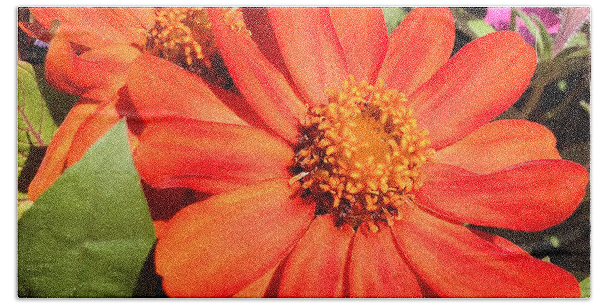 Orange Bath Towel featuring the photograph Orange Daisy in Summer by Luther Fine Art