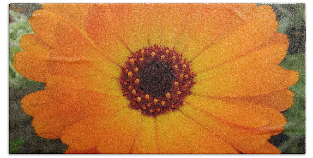 Flower Bath Towel featuring the photograph Orange Husbandman's Dial Marigold Flower by Taiche Acrylic Art