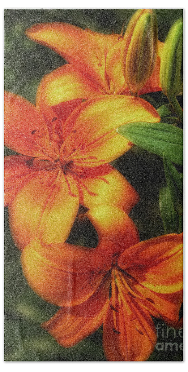 Orange Bath Towel featuring the photograph Orange Lillies by Timothy Hacker