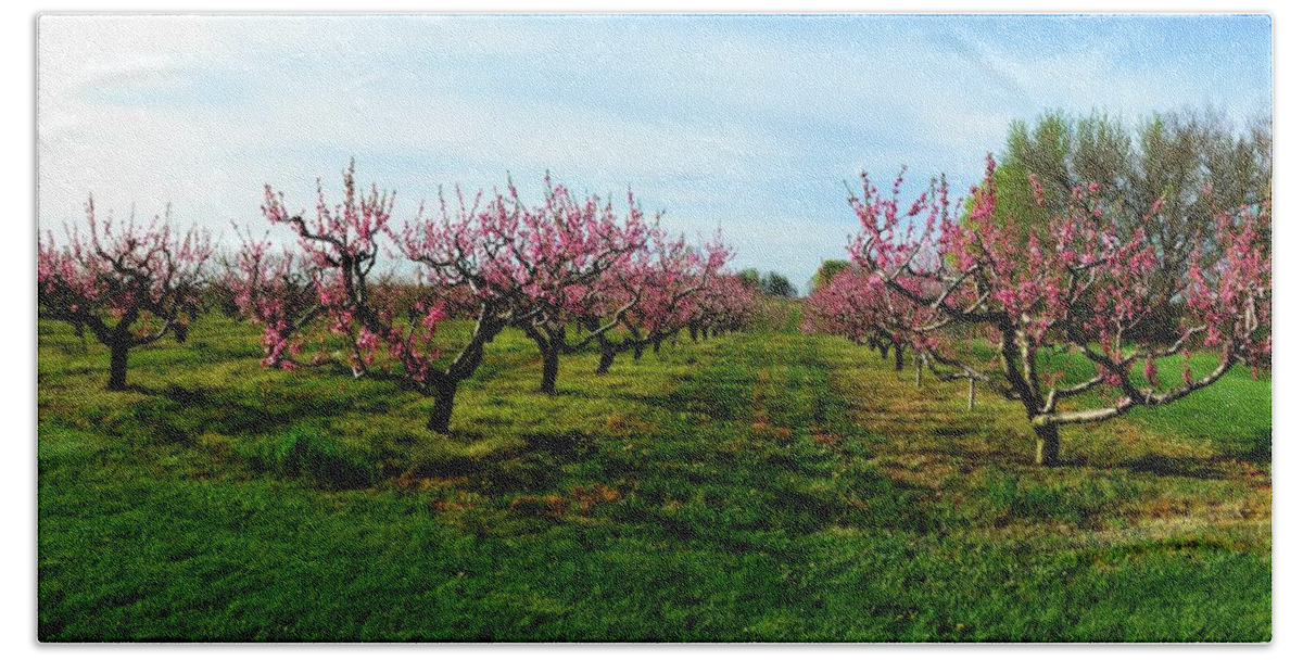 Cherries Bath Sheet featuring the photograph Orchard in Spring by Michelle Calkins