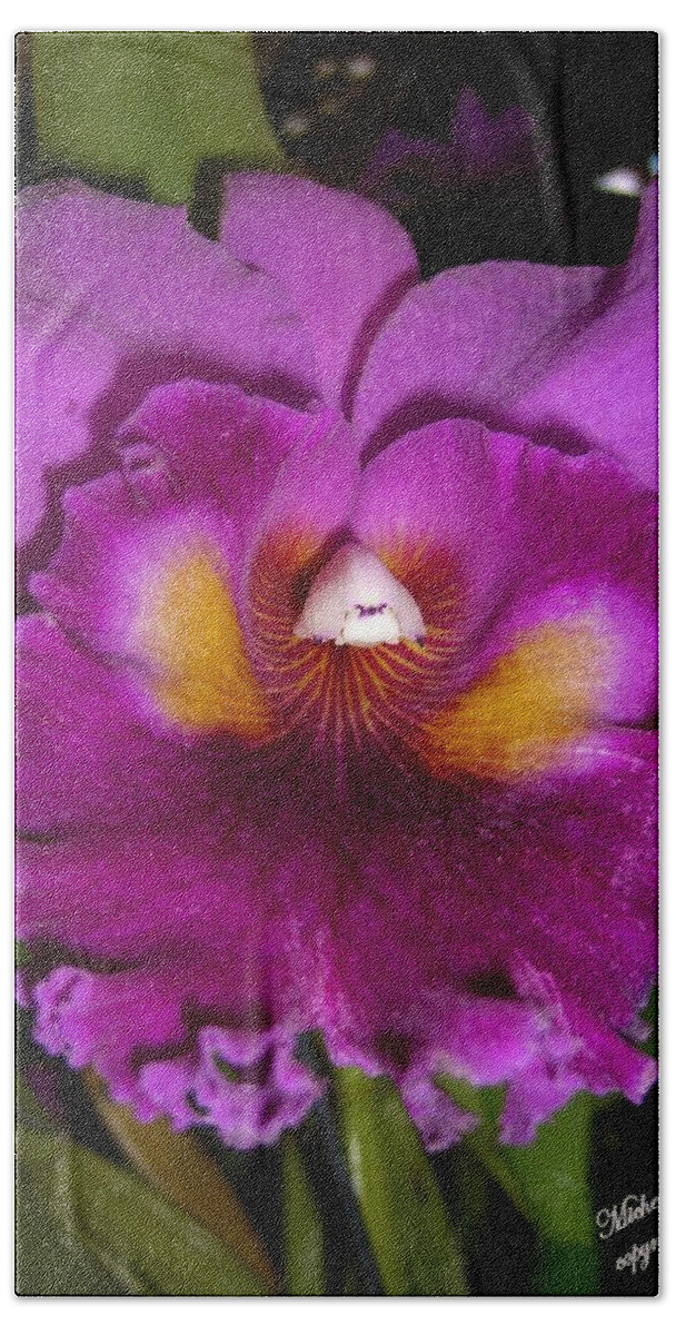 Orchid Bath Towel featuring the photograph Orchid Flames by Michele Penn