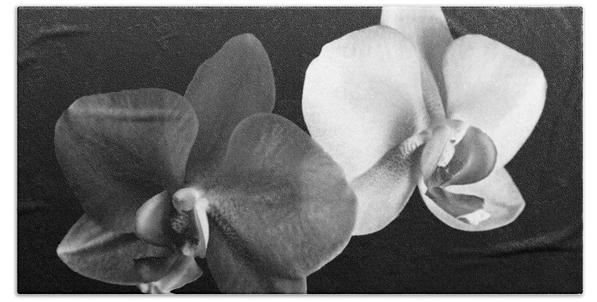 Floral Hand Towel featuring the photograph Orchid in black and white by Steve Karol