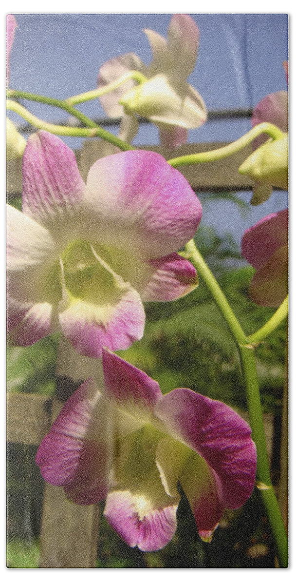 Orchid Bath Towel featuring the photograph Orchid Splendor by Karen Zuk Rosenblatt
