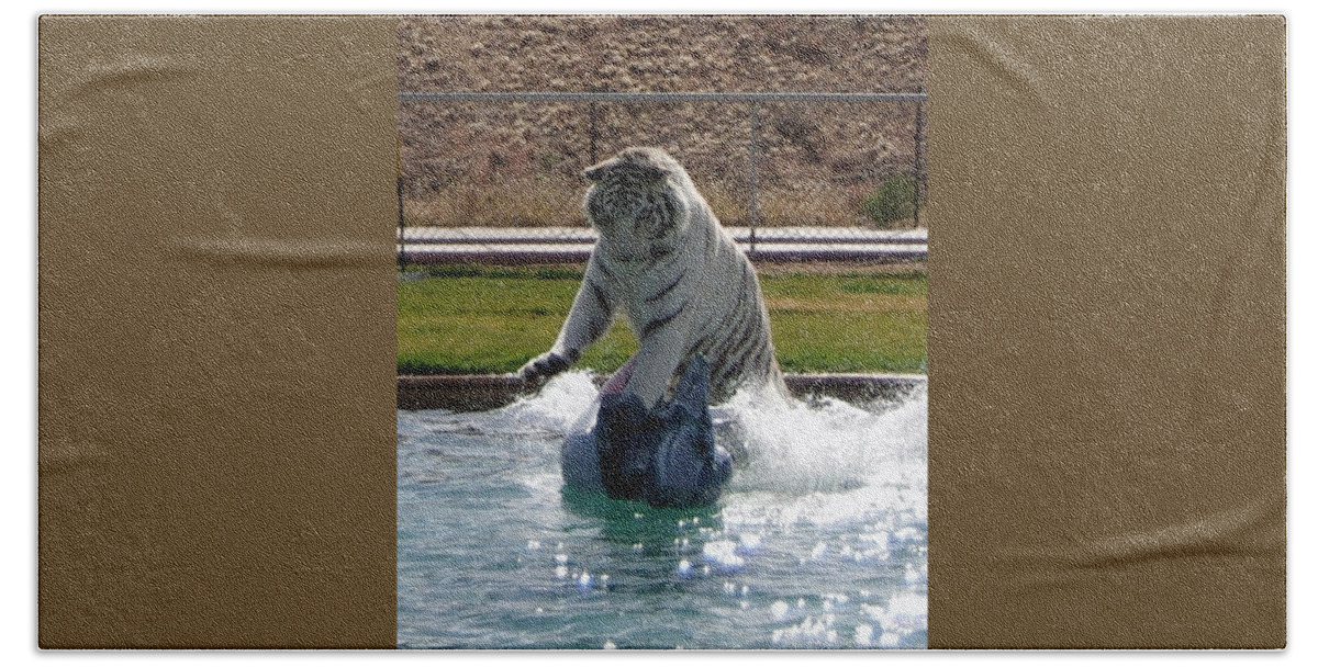 White Tiger Bath Towel featuring the photograph Out of Africa Tiger Splash 1 by Phyllis Spoor