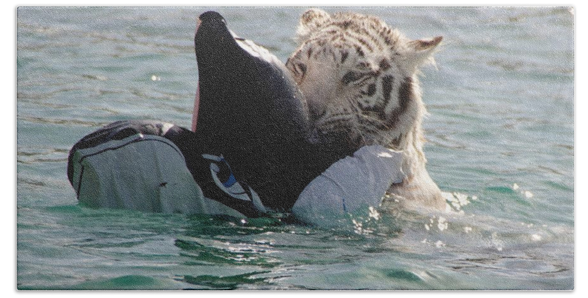 Tiger Bath Towel featuring the photograph Out of Africa Tiger Splash 4 by Phyllis Spoor
