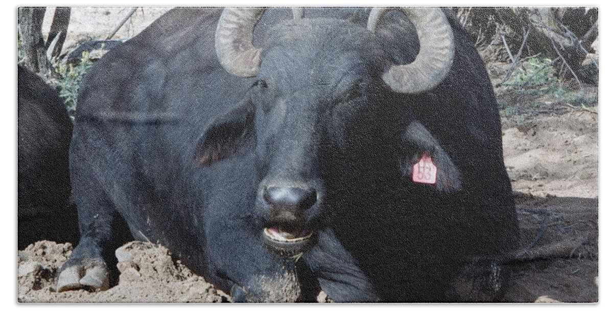 Out Of Africa Bath Towel featuring the photograph Out of Africa Water BuFFALO by Phyllis Spoor