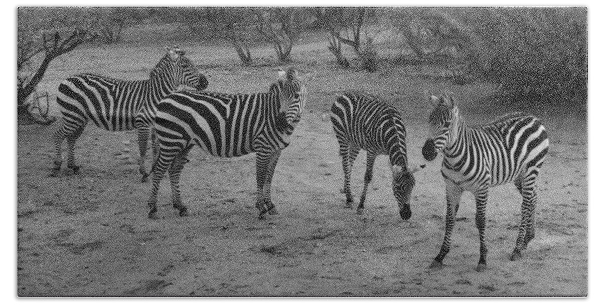 Out Of Africa Hand Towel featuring the photograph Out of Africa Zebras by Phyllis Spoor