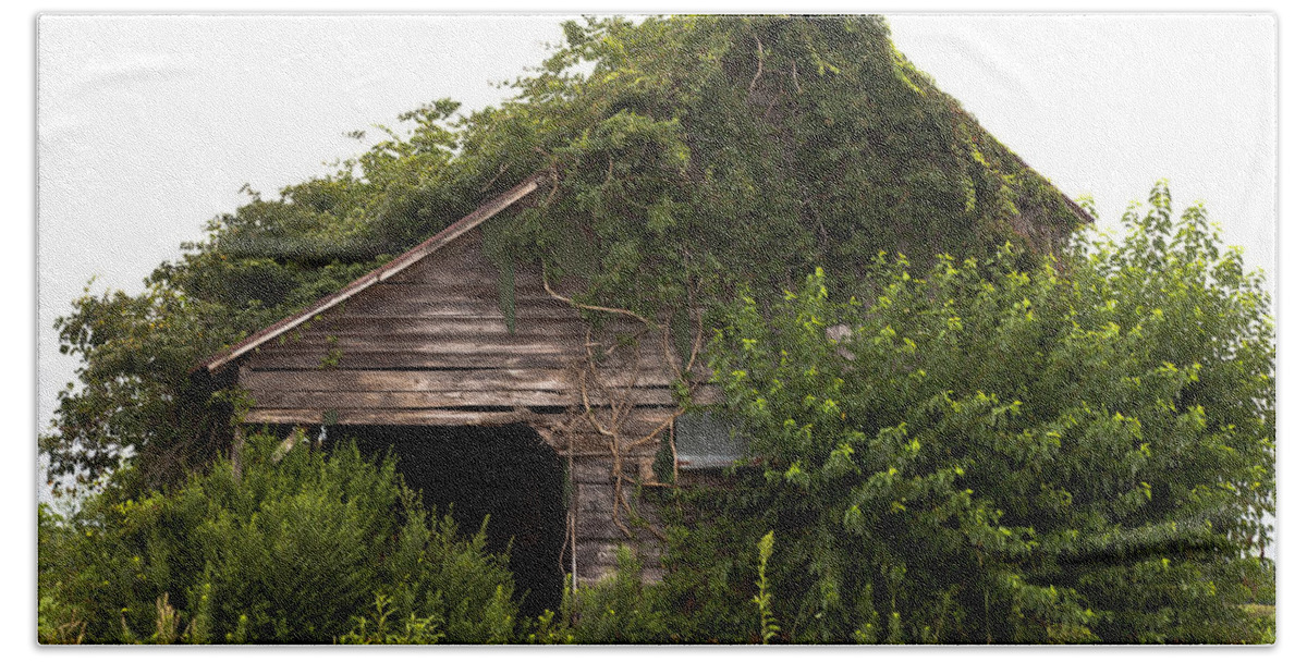 Barn Bath Towel featuring the photograph Overgrown by Green by Jo Ann Tomaselli