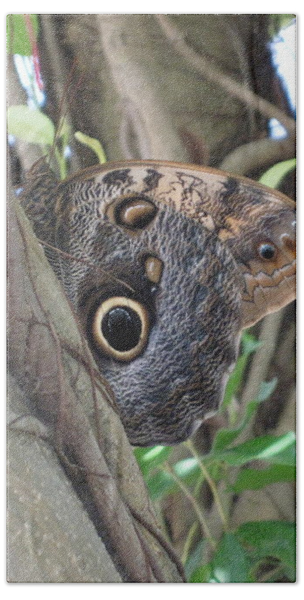 Owl Butterfly In Hiding. Hevi Fineart Hand Towel featuring the photograph Owl Butterfly in Hiding by HEVi FineArt
