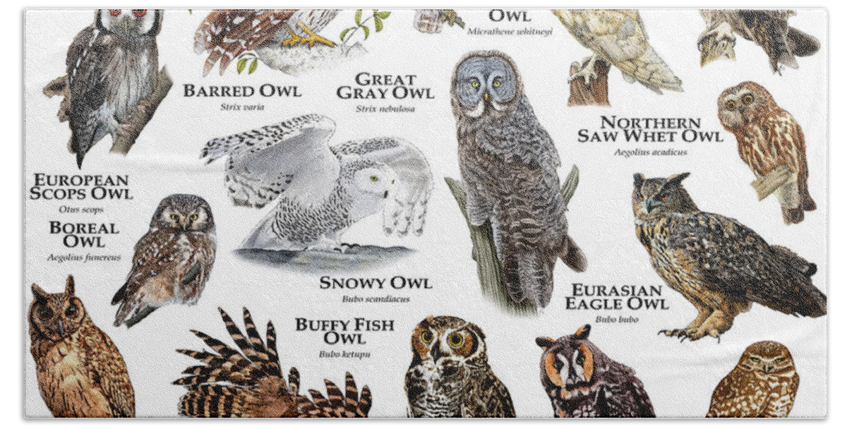 Art Bath Towel featuring the photograph Owls Of The World by Roger Hall
