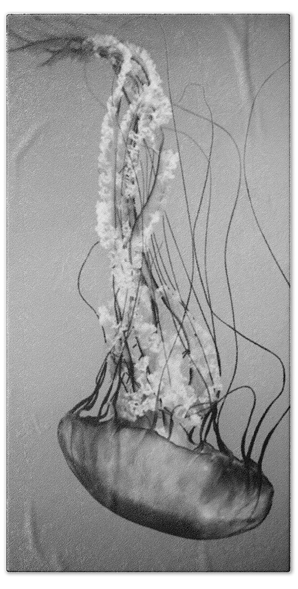 Pacific Sea Nettle Bath Towel featuring the photograph Pacific Sea Nettle - Black and White by Marianna Mills