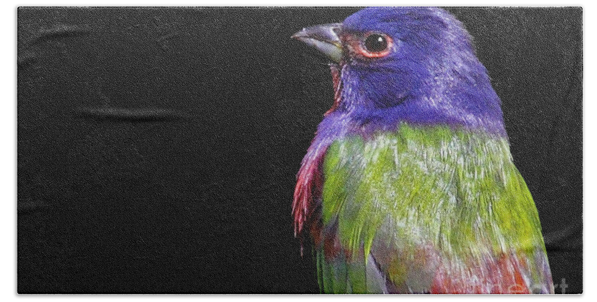 Painted Bunting Bath Towel featuring the photograph Painted Bunting by Meg Rousher