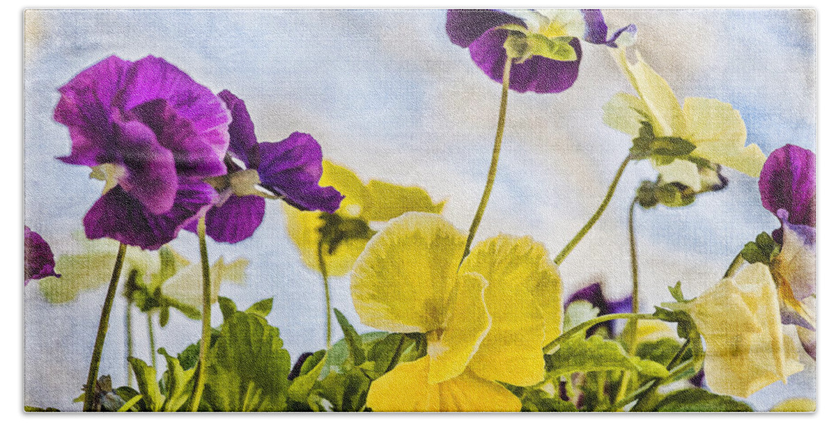 Pansies Bath Towel featuring the photograph Painted Pansies by Cathy Kovarik