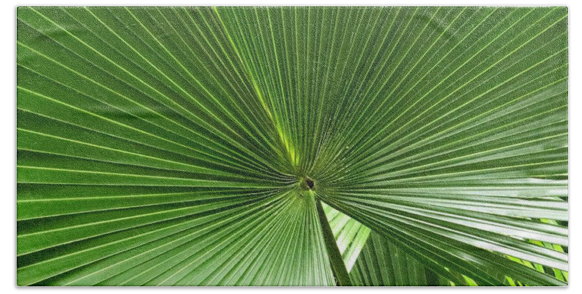 Leaf Hand Towel featuring the photograph Palm leaf II by Zina Stromberg
