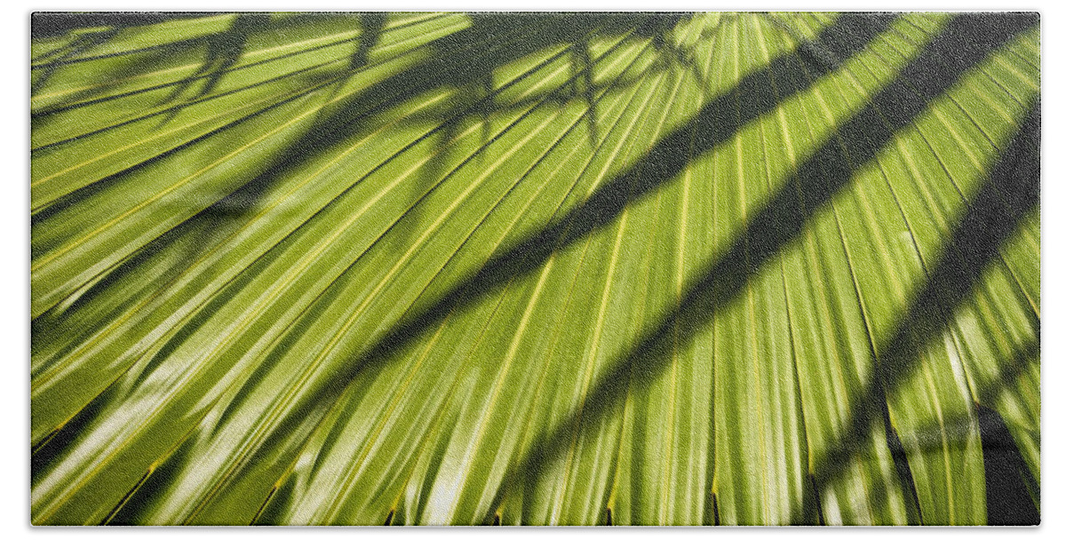 Palm Leaves Hand Towel featuring the photograph Palm Leaves Color Dsc05268 by Greg Kluempers