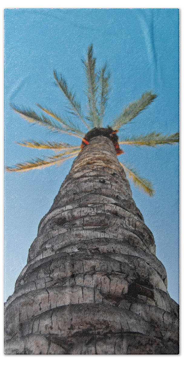 Blue Bath Towel featuring the photograph Palm Tree Looking Up by Maggy Marsh