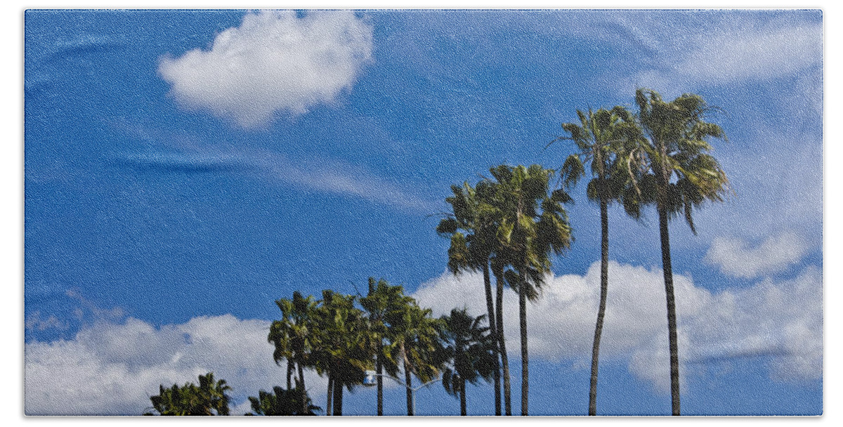 Tree Hand Towel featuring the photograph Palm Trees in San Diego California No. 1661 by Randall Nyhof