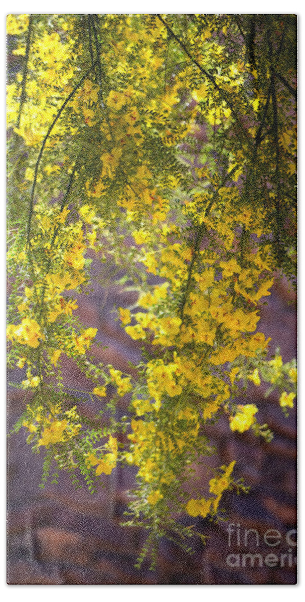 Palo Verde Tree Bath Towel featuring the photograph Palo Verde Blossoms by Deb Halloran