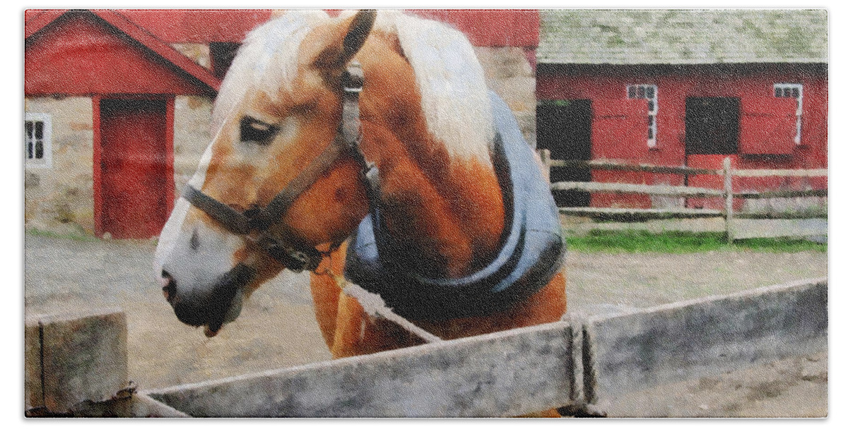 Horse Bath Towel featuring the photograph Palomino By Red Barn by Susan Savad