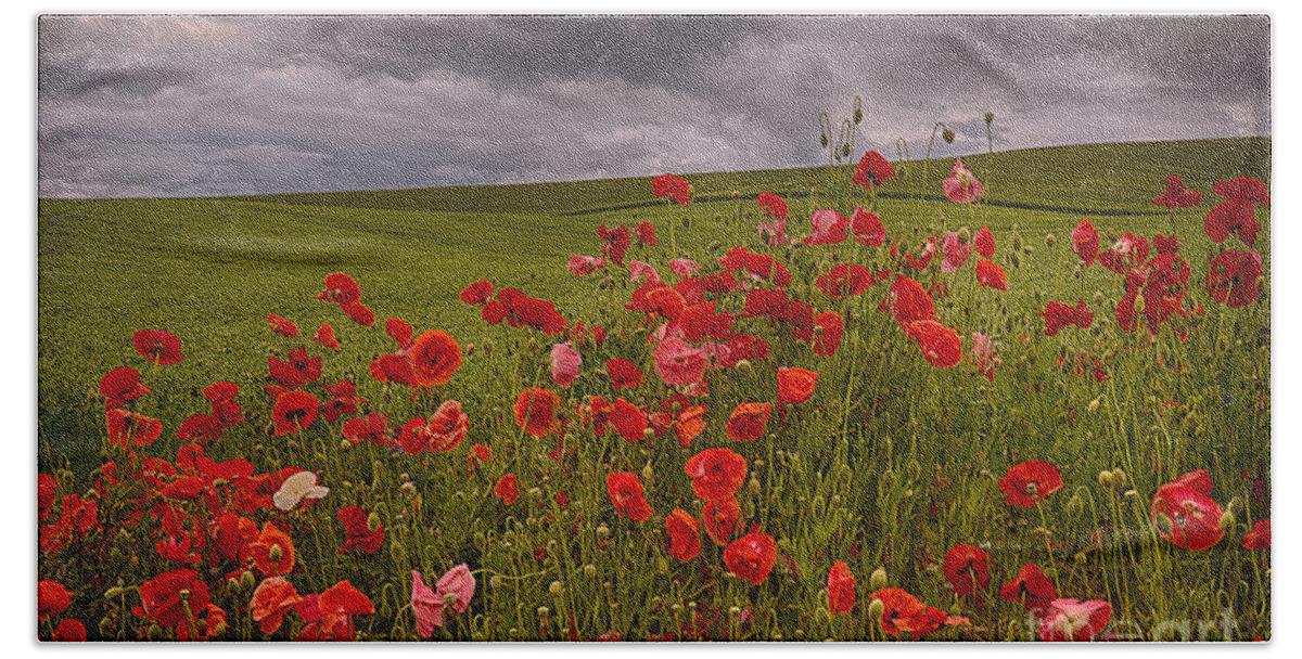 Poppies Bath Towel featuring the photograph Palouse Poppies by Priscilla Burgers