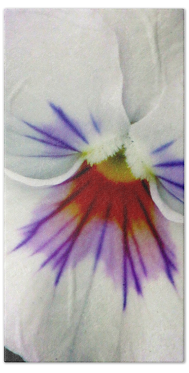 Pansy Hand Towel featuring the photograph Pansy Flower 11 by Pamela Critchlow