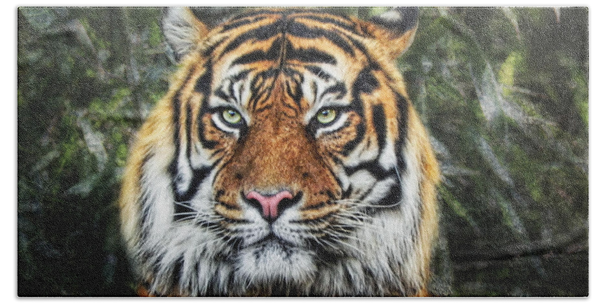 Panthera Tigris Bath Towel featuring the photograph Panthera Tigris II by Joachim G Pinkawa