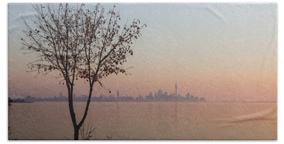 Soft Pink Hand Towel featuring the photograph Pastel Pink Morning on the Lake Shore by Georgia Mizuleva