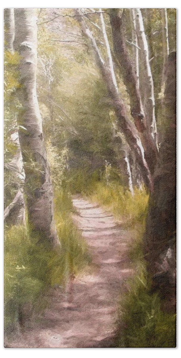 Woods Hand Towel featuring the photograph Path 1 by Pamela Cooper