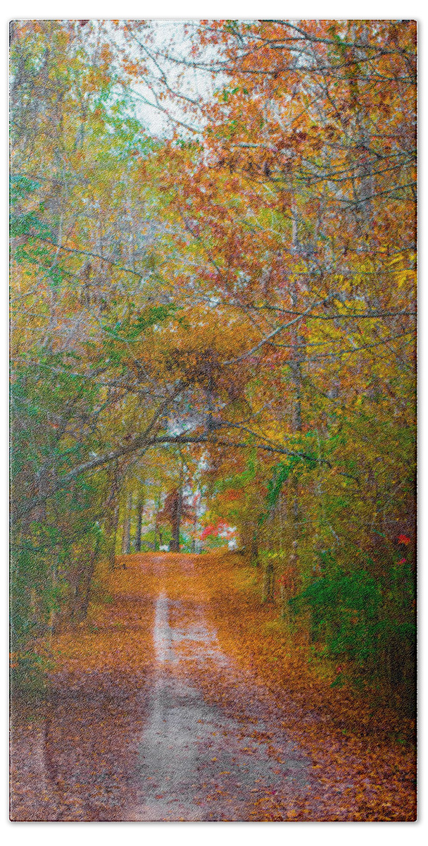 Path Bath Towel featuring the photograph Path to the Fairies by Parker Cunningham