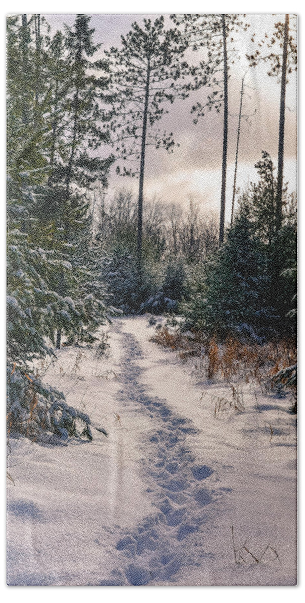 Snow Bath Towel featuring the photograph Pathways by Jody Partin