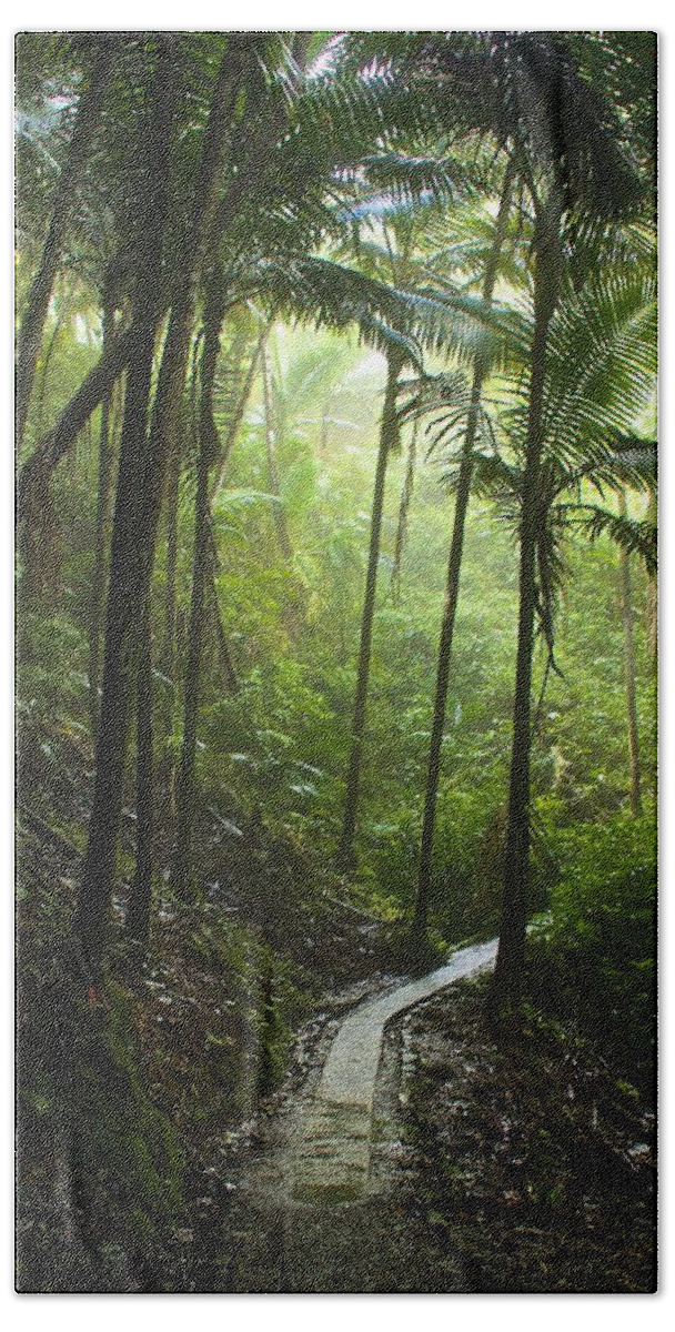 Rainforest Bath Towel featuring the photograph Pathways by Kathi Isserman