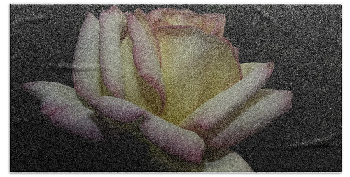 Roses Bath Towel featuring the photograph Peace to You and Yours by Lucinda Walter