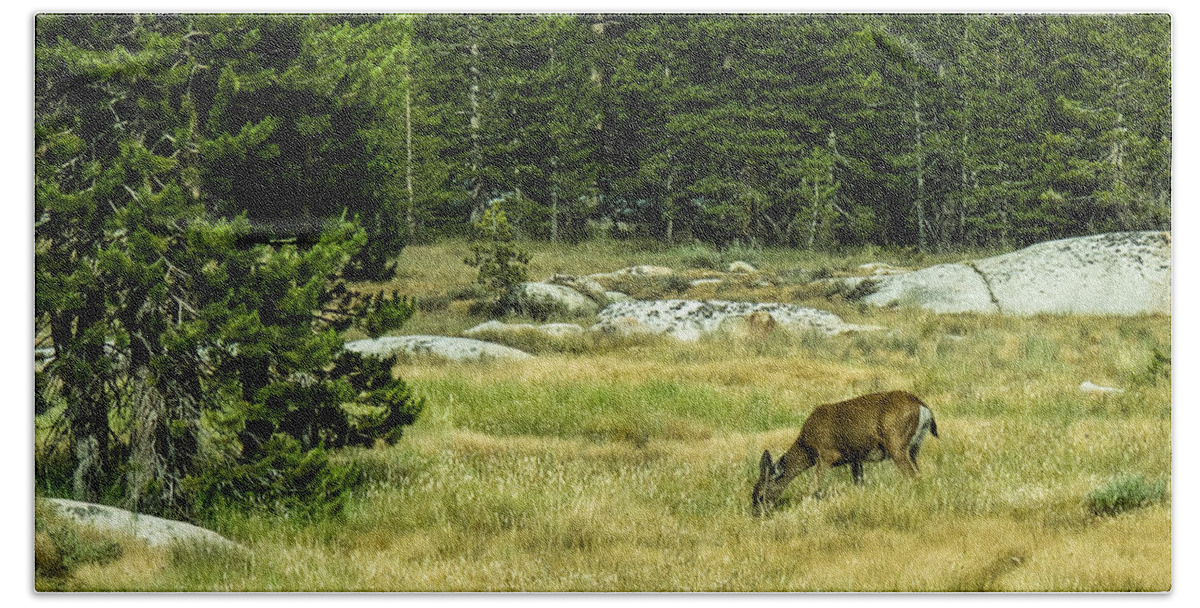 Deer Bath Towel featuring the photograph Peacefully Grazing by Susan Eileen Evans